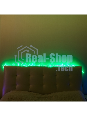 Гирлянда Neon-night 