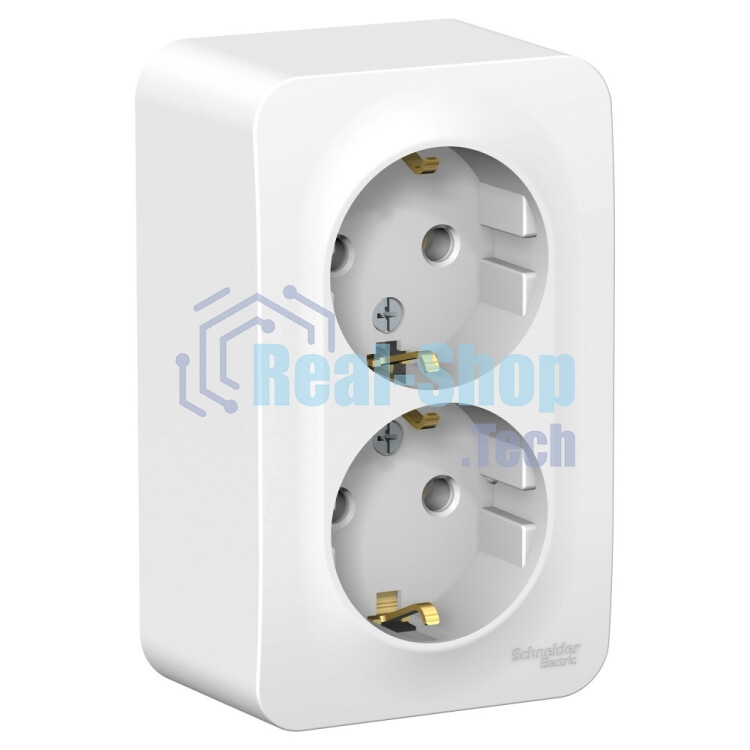Розетка Schneider-electric BLNRA010201 Blanca О/У двойная с заземлением без шторок, 16А, 250В, белый