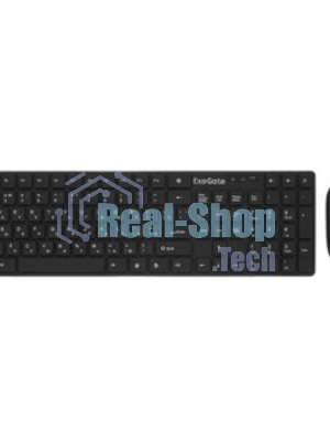 Комплект клавиатура+мышь ExeGate Professional Standard Combo MK260 беспроводной, USB, 1200 DPI, чёрный