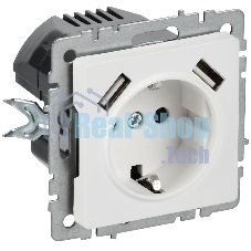 BRITE Розетка 1-местная с заземлением с защитными шторками 16А с USB A+A 5В 3,1А РЮш10-2-БрАБ арктический белый  | BR-R14-16-U21-D31-K91 | IEK