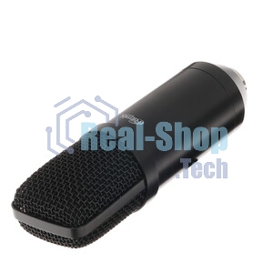 Микрофон Ritmix RDM-169 черный