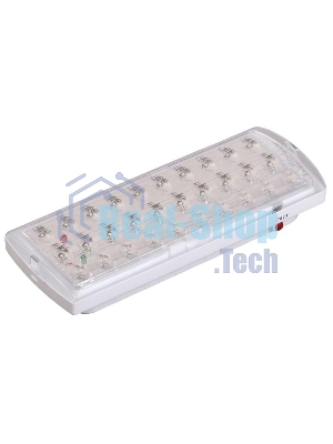 Светильник аварийный Iek LDPA0-2101-30-K01 ДПА 2101, аккумулятор, 4ч, 30LED, IP20, IEK