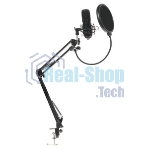 Микрофон Ritmix RDM-169 черный