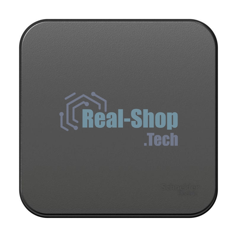 Переключатель 1-кл. ОП Blanca (сх.6) 10А 250 В изол. пласт. антрацит SchE BLNVA106016