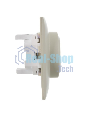 Розетка 2-местная IEK SKANDY SK-R07B (SK-R24-16-K10-F) с заземлением, с защитными шторками 16А в сборе, бежевый