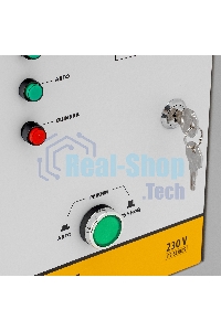 Блок автоматического запуска Denzel ENERGOMATIC PS-115