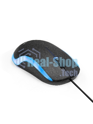 Мышь ExeGate Professional Standard M100 (USB, оптическая, 1200dpi, 3D, 3 кнопки (включая колесо прокрутки), длина кабеля 1,8м, черная, подсветка, RTL)