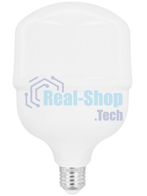 Лампа светодиодная Ergolux 14329 LED-HW-50W-E40-6K PRO 50Вт E27/E40 6500К 150-260В