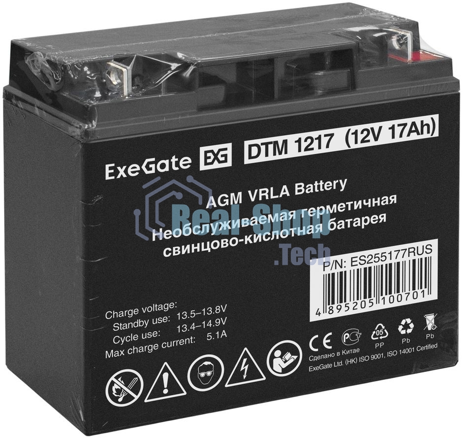 Батарея для ИБП ExeGate ES255177RUS DTM 1217/EXS12170 (12V 17Ah), клеммы под болт М5