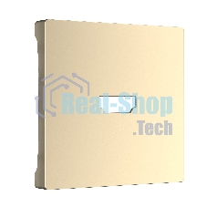 Накладка для розетки HDMI (шампань)