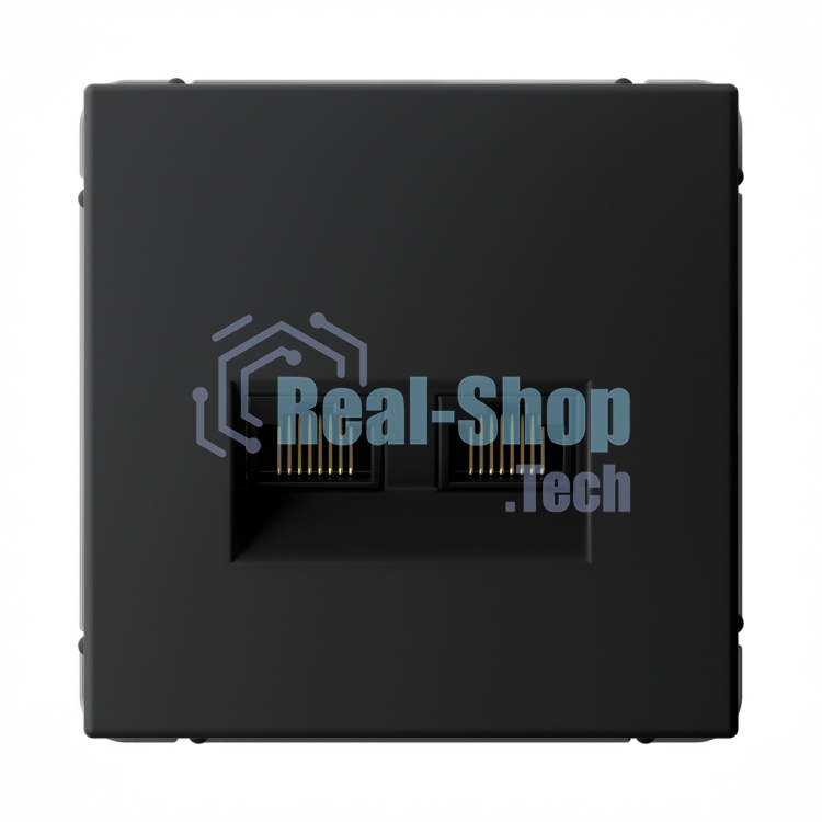Розетка компьютерная 2-м SE GAL001085 ArtGallery RJ45 + RJ45 кат.5E механизм карбон