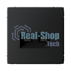 Розетка компьютерная 2-м SE GAL001085 ArtGallery RJ45 + RJ45 кат.5E механизм карбон