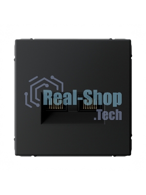 Розетка компьютерная 2-м SE GAL001085 ArtGallery RJ45 + RJ45 кат.5E механизм карбон