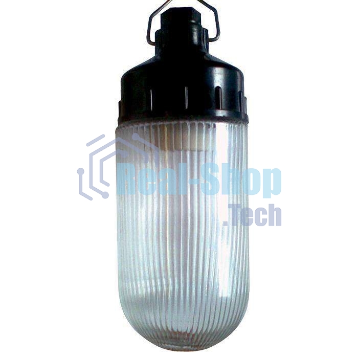 Светильник ЭЛЕТЕХ НСП 02-100-001 