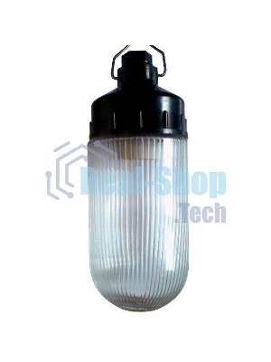 Светильник ЭЛЕТЕХ НСП 02-100-001 