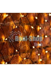 Гирлянда Neon-night 