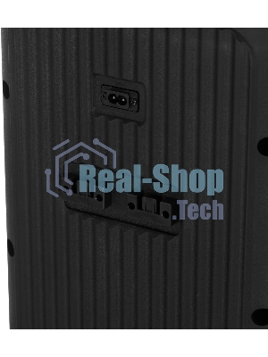 Колонка портативная Ural Молния 10000 черный 1000W 1.1 BT/3.5Jack/USB-C 20м 8000mAh