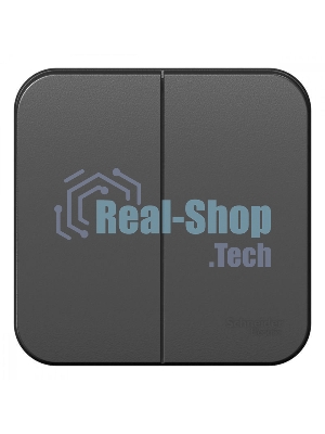 Выключатель 2-кл. ОП Blanca (сх.5) 10А 250 В изол. пласт. антрацит SchE BLNVA105016