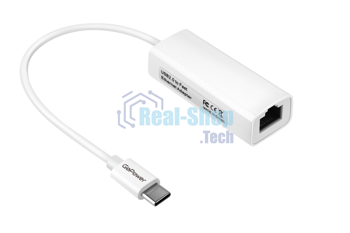 Адаптер GoPower Type-C (m)-RJ-45 (f) 100 мб/с белый (1/100)