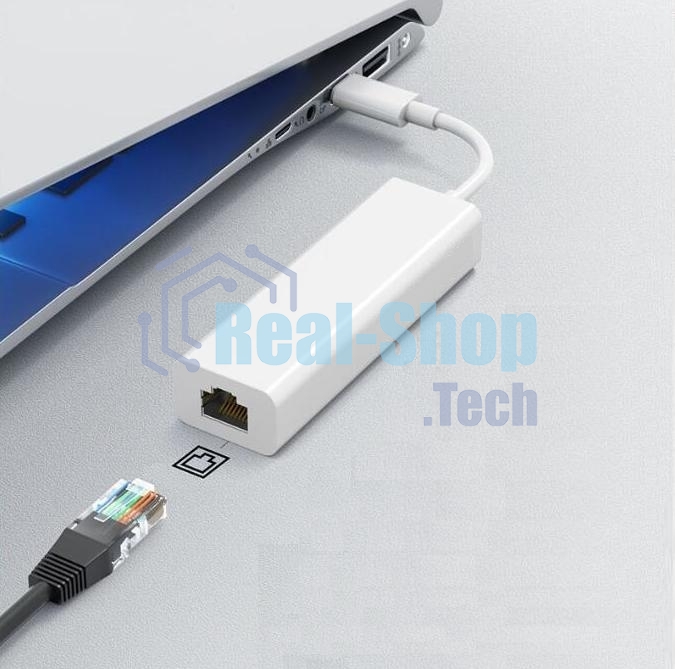Адаптер GoPower Type-C (m)-RJ-45 (f) 100 мб/с белый (1/100)