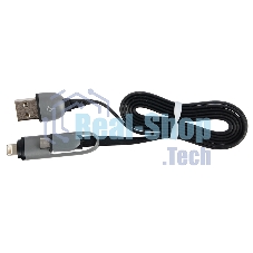 Кабель RITMIX Кабель 2в1 MicroUSB+Lightning 8pin-USB для синхронизации/зарядки, 1м черный (RCC-200)