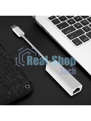 Адаптер GoPower Type-C (m)-RJ-45 (f) 100 мб/с белый (1/100)