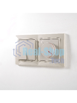 Рамка на 2 поста WERKEL (слоновая кость, basic) W0022003