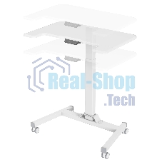 Стол для ноутбука Cactus VM-FDE101 столешница МДФ белый 80x60x123см (CS-FDE101WWT)