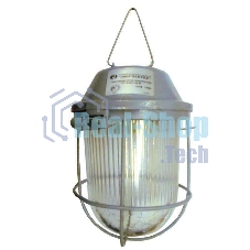 Светильник ЭЛЕТЕХ НСП 02-100-002 
