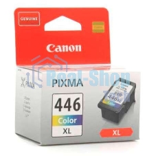 Картридж струйный Canon CL-446XL (8284B001) для Canon PIXMA MG2440/2540. Цветной, 300 стр.