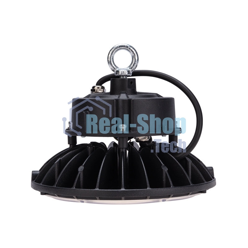 Светильник для высоких пролетов Rexant ДСП 01 100 Вт 6500 К IP65 10000 Лм черный