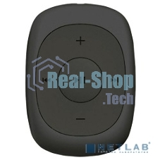 Плеер Flash Digma C2L 4Gb серый/FM/clip