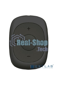 Плеер Flash Digma C2L 4Gb серый/FM/clip