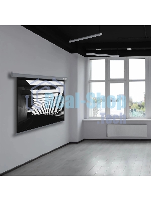 Экран Cactus 175x280 см SIlverMotoExpert CS-PSSME-280X175-DG 16:10 настенно-потолочный рулонный темно-серый (моторизованный привод)
