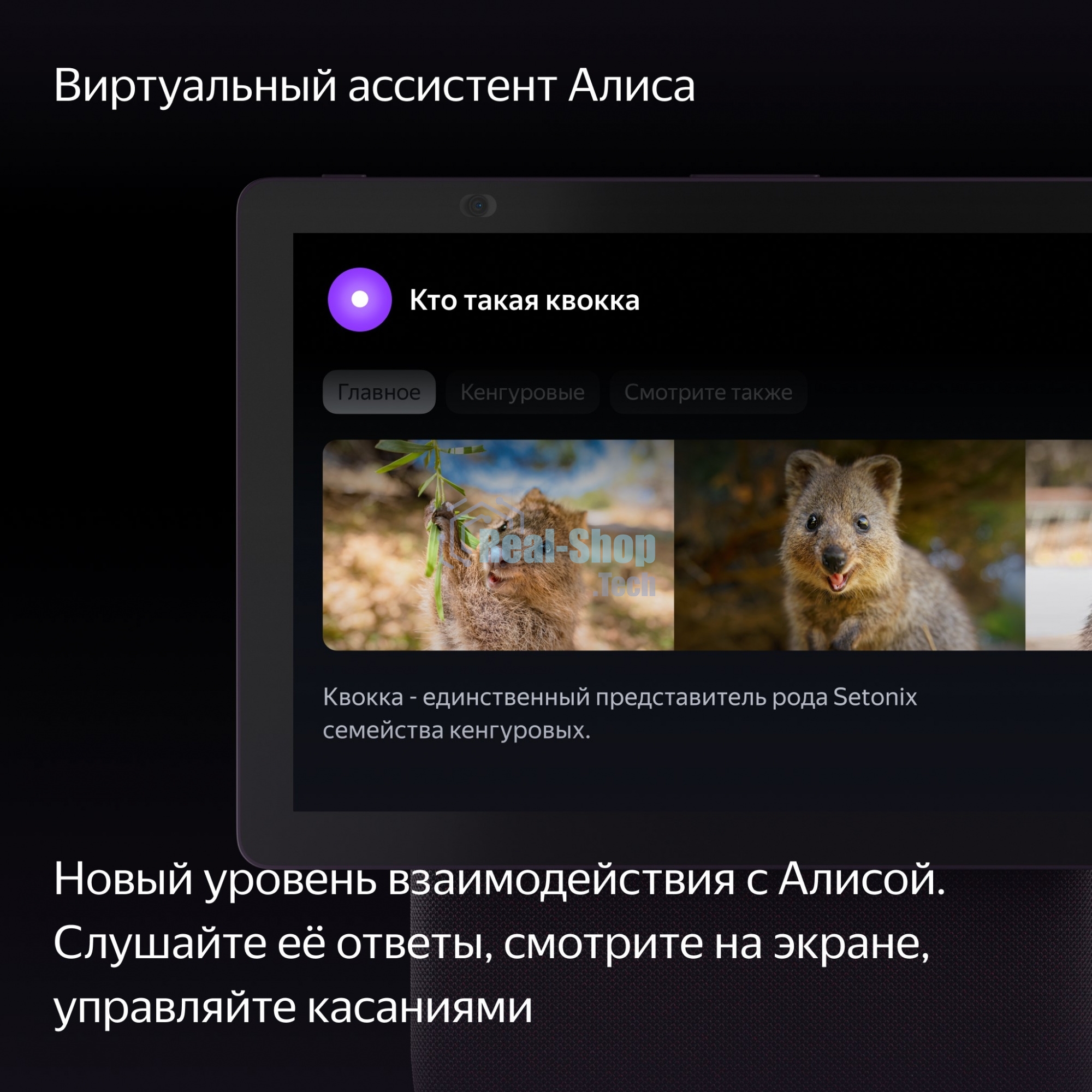 Умная колонка Яндекс Станция Дуо Макс, Zigbee, с дисплеем, 60Вт, с голосовым ассистентом Алиса на YaGPT, красный (YNDX-00055RED)