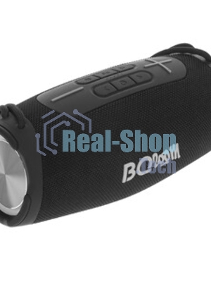 Портативная колонка BQ PBS4002 черный