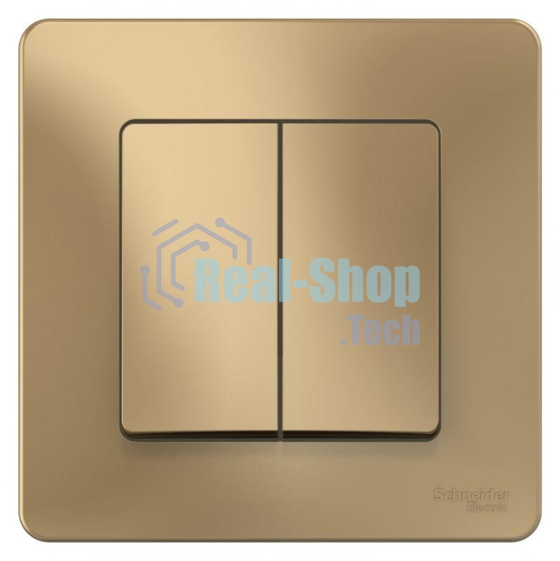 Выключатель 2-кл. СП Blanca (сх.5) 10А 250 В титан SchE BLNVS010504