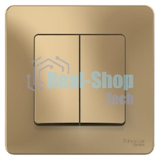 Выключатель 2-кл. СП Blanca (сх.5) 10А 250 В титан SchE BLNVS010504