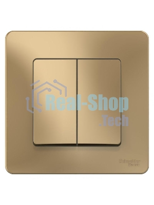 Выключатель 2-кл. СП Blanca (сх.5) 10А 250 В титан SchE BLNVS010504