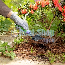 Совок посадочный узкий Palisad ERA 65х300 мм, стальной, обрезиненная эргономичная рукоятка