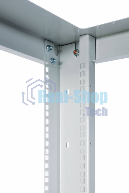 Стойка двухрамная ЦМО СТК-С-42.2.750 42U 560 мм X 1035 мм направл. закл. гайки 400 кг серый