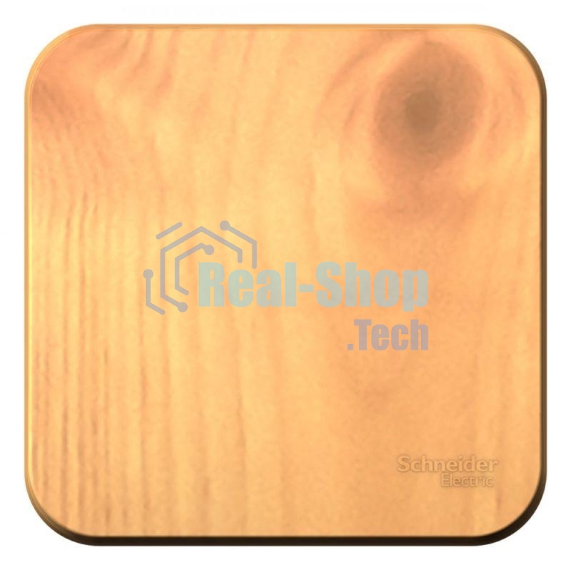 Выключатель 1-кл. ОП Blanca (сх.1) 10А 250 В изол. пласт. ясень SchE BLNVA101015