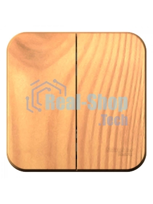 Выключатель 2-кл. ОП Blanca (сх.5) 10А 250 В изол. пласт. ясень SchE BLNVA105015