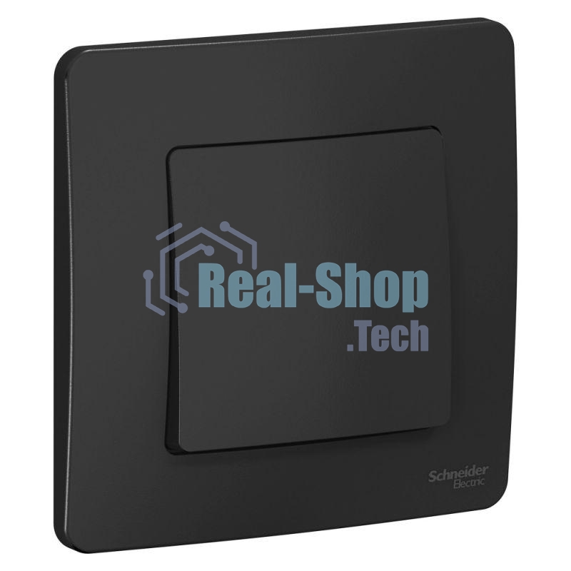 Выключатель 1-кл. СП Blanca (сх.1) 10А 250 В антрацит SchE BLNVS010106