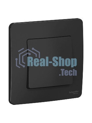 Выключатель 1-кл. СП Blanca (сх.1) 10А 250 В антрацит SchE BLNVS010106