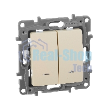 Выключатель 2-клавишный с подсветкой, на винтах, 10АХ, сл. кость