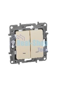 Выключатель 2-клавишный с подсветкой, на винтах, 10АХ, сл. кость