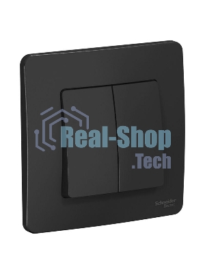 Выключатель 2-кл. СП Blanca (сх.5) 10А 250 В антрацит SchE BLNVS010506