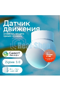 Умный датчик движения СБЕР/SBER (SBDV-00029) 