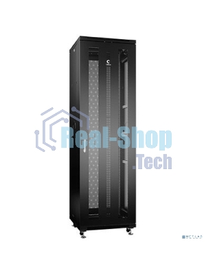 Шкаф серверный напольный Cabeus, IP20, 42U, 2055х600х1000 мм (ВхШхГ), дверь: перфорация, боковая панель: сплошная, разборный, цвет: чёрный